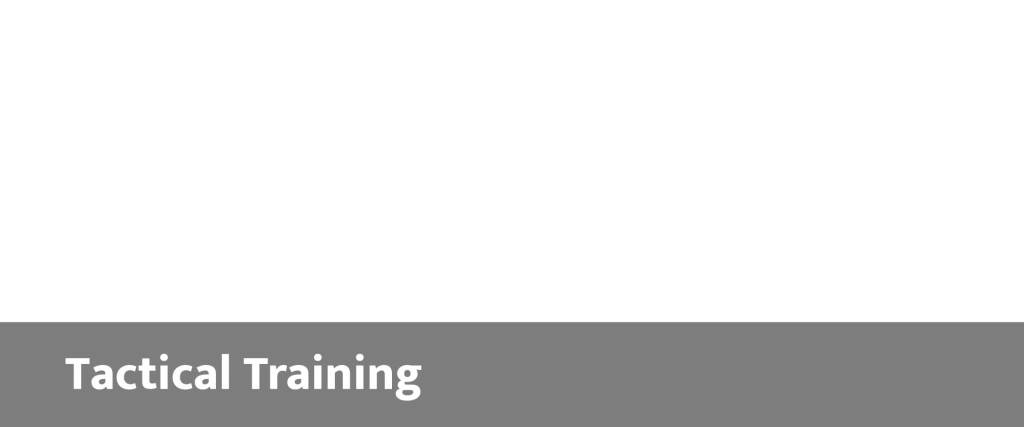 Cerberus Global – Developing Innovative Strategies ACHIEVING GROWTH